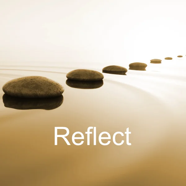 Reflect Reflect — capturing your potential