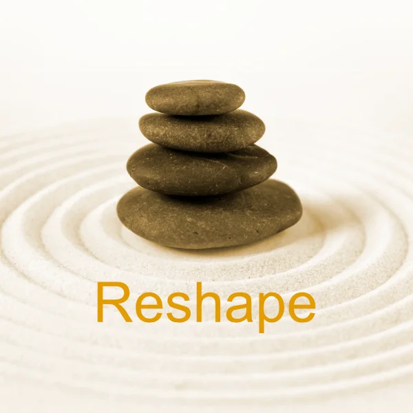 reshape Reshape — channelling your capability